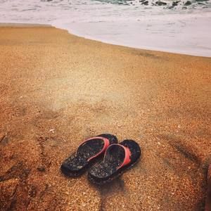 Meet your Posher, Shasha